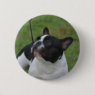 Zwart-witte Bulldog Ronde Button 5,7 Cm