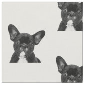 Zwart-witte Bulldog Stof (Close Up)