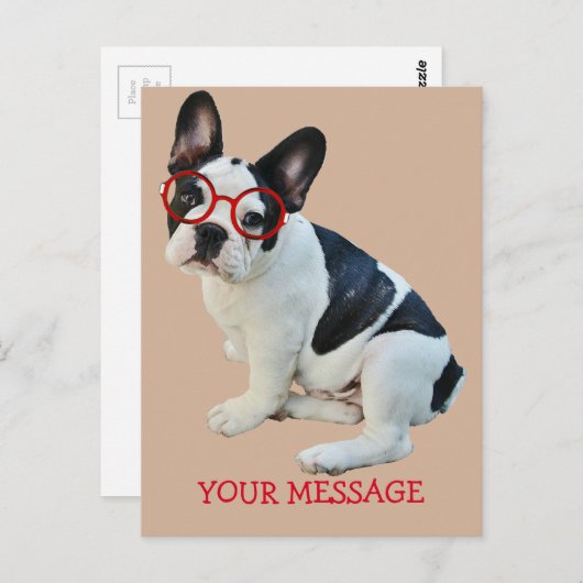 Zwart-witte bulledog met rode bril briefkaart (Voorkant / Achterkant)