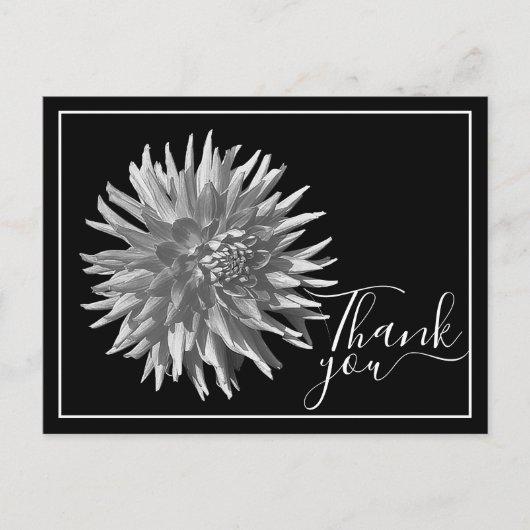 Zwart-witte cactus Dahlia Zwarte achtergrond Dank  Briefkaart (Voorkant)