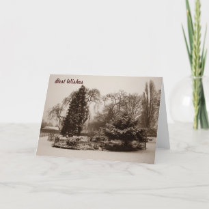 zwart-witte chrismas van de de scènefoto van de feestdagen kaart