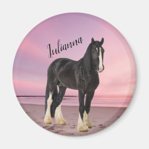 Zwart-witte Clydesdale op het strand bij zonsonder Magneet