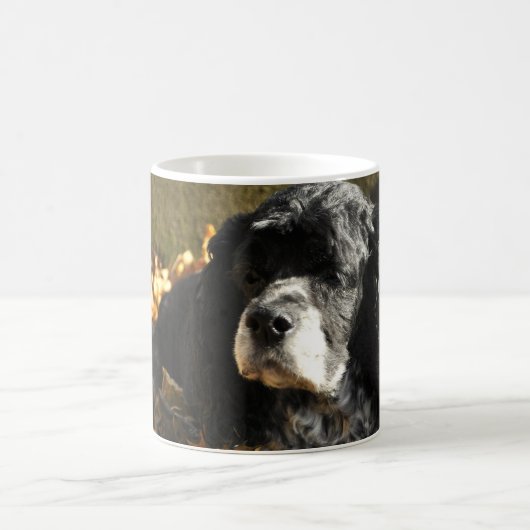 Zwart-witte Cocker Spaniel Foto Koffiemok (Center)