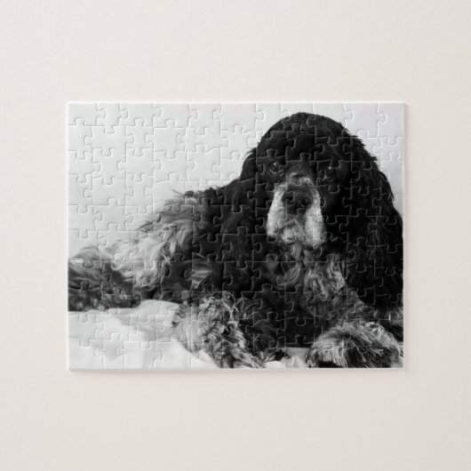 Zwart-witte Cocker Spaniel Foto Legpuzzel (Horizontaal)