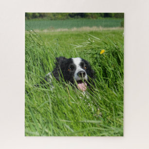 Zwart-witte Collie in het gras Legpuzzel