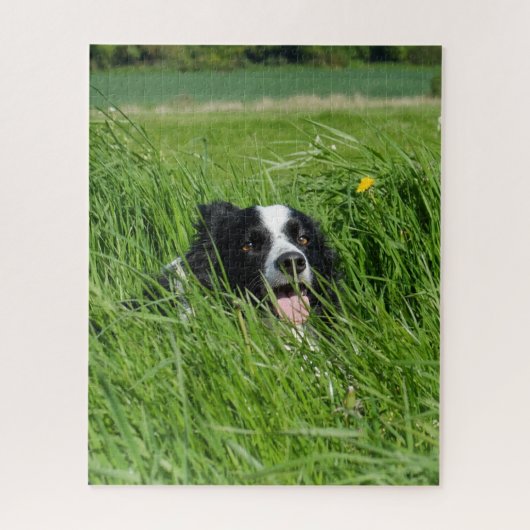 Zwart-witte Collie in het gras Legpuzzel (Verticaal)