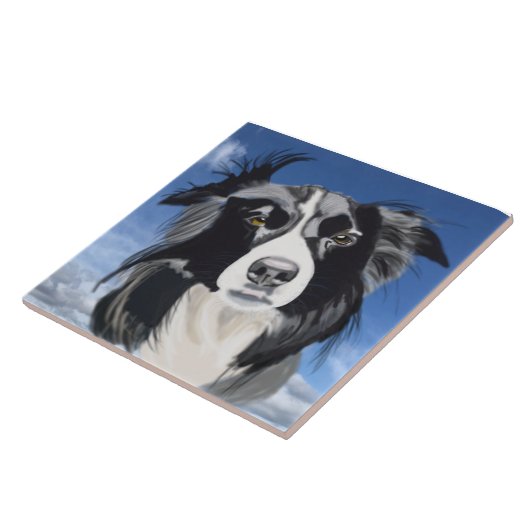Zwart-witte collie tegeltje (Zijkant)