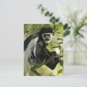 Zwart-witte Colobus-aap Briefkaart (Staand voorkant)