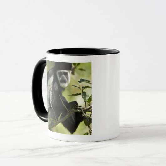 Zwart-witte Colobus-aap Mok (Voorkant links)