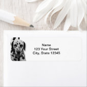 Zwart-witte Dalmatian Etiket (Insitu)