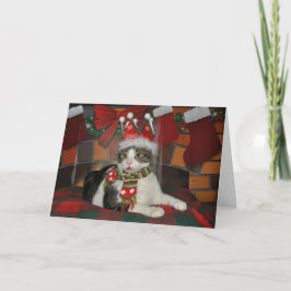 Zwart-witte de kattenKerstkaart van de gestreepte Feestdagen Kaart