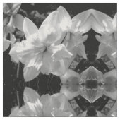 Zwart-witte diaffodil stof (Close Up)