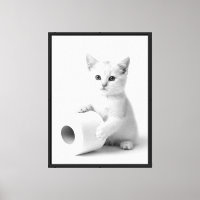 Zwart Witte Dier Grappige Kat Foto Kunst Minimalis