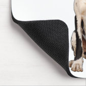 Zwart-witte Dog Argenta Muismat (Hoek)