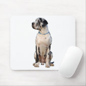 Zwart-witte Dog Argenta Muismat (Met muis)