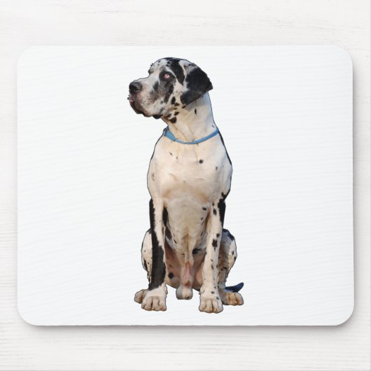 Zwart-witte Dog Argenta Muismat (Voorkant)