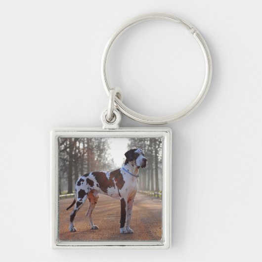 Zwart-witte Dog Sleutelhanger (Voorkant)