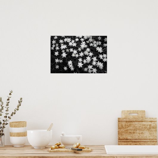 Zwart-witte dogen poster (Keuken)