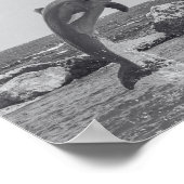 Zwart-witte dolfijn Tropische afdrukbare kunst Poster (Hoek)