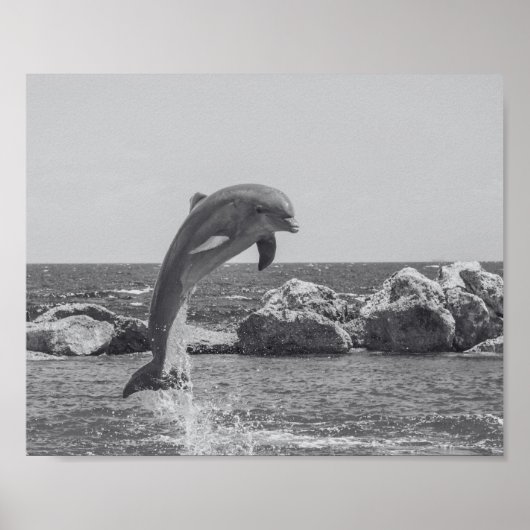 Zwart-witte dolfijn Tropische afdrukbare kunst Poster (Voorkant)