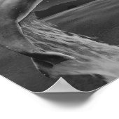 Zwart-witte dolfijn Tropische afdrukbare kunst Poster (Hoek)