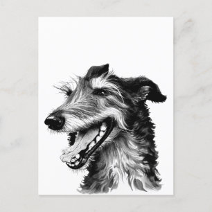 Zwart-witte drift   Cute Hound Briefkaart