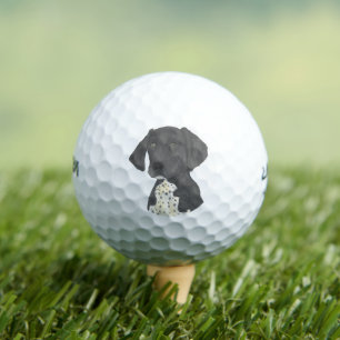 Zwart-witte Duitse horthaired pointer Golfballen
