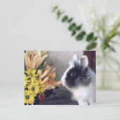 Zwart-witte dwergkonijn briefkaart (Staand voorkant)