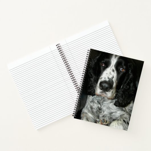 Zwart-witte Engelse Springer Spaniel Notitieboek (Binnen)