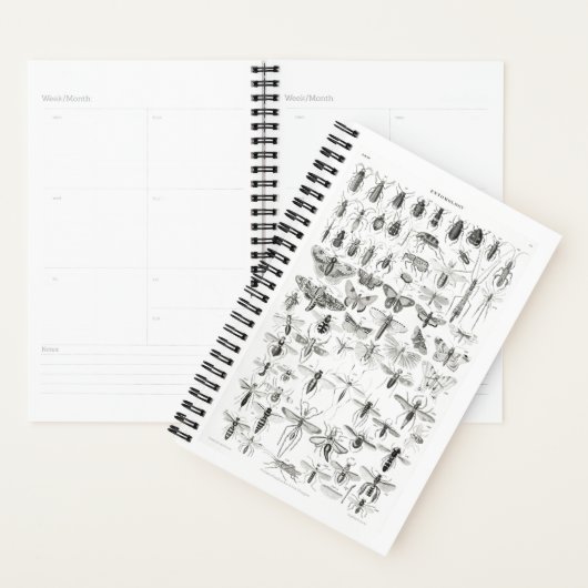 Zwart-witte Entomologie snijdt bugs in Planner (Display)