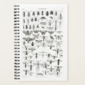 Zwart-witte Entomologie snijdt bugs in Planner (Voorkant)