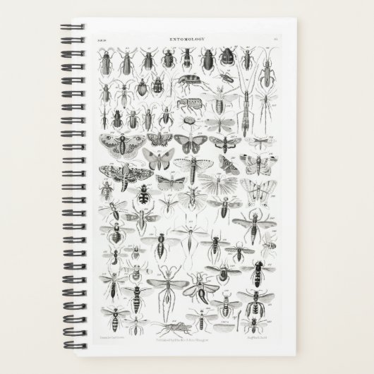 Zwart-witte Entomologie snijdt bugs in Planner (Voorkant)