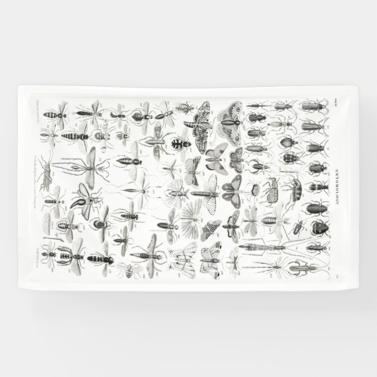 Zwart-witte Entomologie snijdt bugs in Spandoek (Horizontaal)