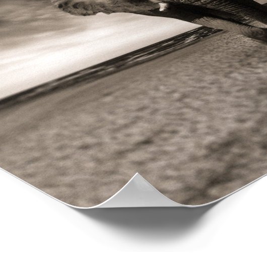 Zwart-witte ephops poster (Hoek)