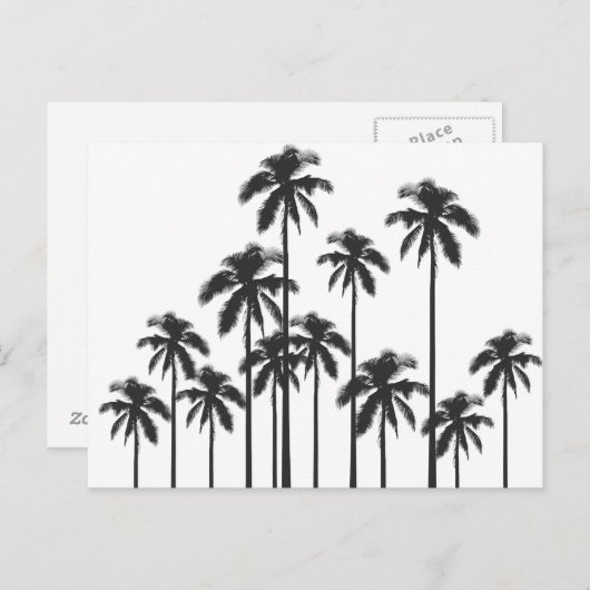 Zwart-witte, exotische tropische palmbomen briefkaart (Voorkant / Achterkant)