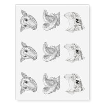 Zwart-witte Fancy baatportretten