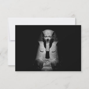 Zwart-witte farao koning