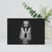 Zwart-witte farao koning (Staand voorkant)
