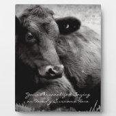 Zwart-witte foto van Black Angus Steer Fotoplaat (Voorkant)
