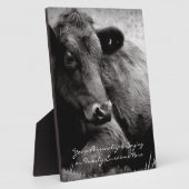 Zwart-witte foto van Black Angus Steer Fotoplaat (Zijkant)