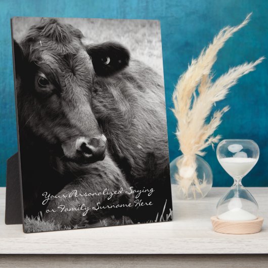 Zwart-witte foto van Black Angus Steer Fotoplaat (Zijkant)