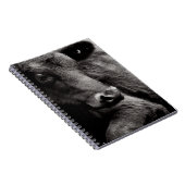 Zwart-witte foto van Black Angus Steer Notitieboek (Rechterzijde)