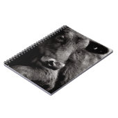 Zwart-witte foto van Black Angus Steer Notitieboek (Linkerzijde)