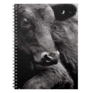 Zwart-witte foto van Black Angus Steer Notitieboek