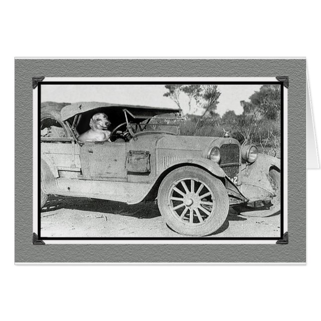 Zwart-witte foto van oude auto.Dachshund rijden (Voorkant Horizontaal)
