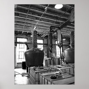 Zwart-witte fotodestillatie poster