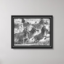 Zwart-witte fotografie Fine Art Zebra