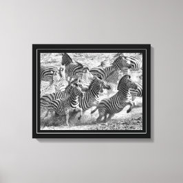 Zwart-witte fotografie Fine Art Zebra Canvas Afdruk