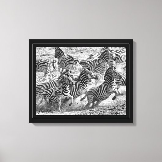 Zwart-witte fotografie Fine Art Zebra Canvas Afdruk (Voorkant)