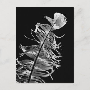 Zwart-witte fotografische doezelkunst briefkaart